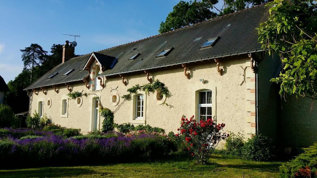 Chateau Vary Jarzé Стая снимка